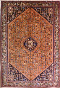 015-Iran-Abadeh-302x204